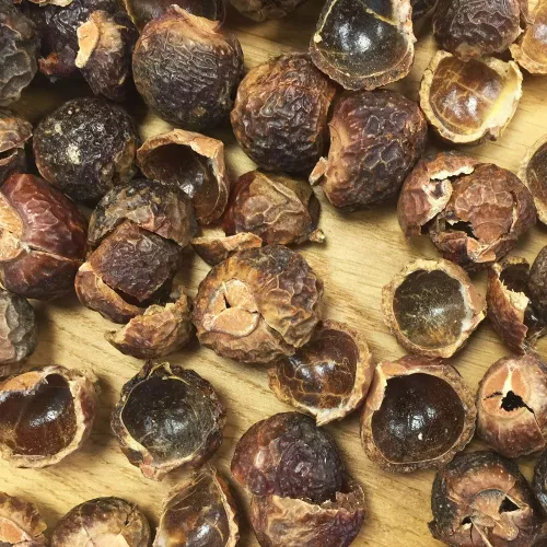 Soapnuts