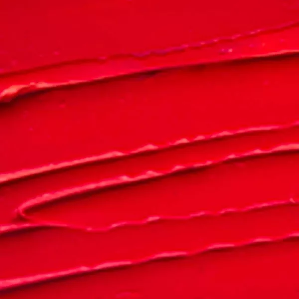 Rouge à lèvres audacieux  ZAO