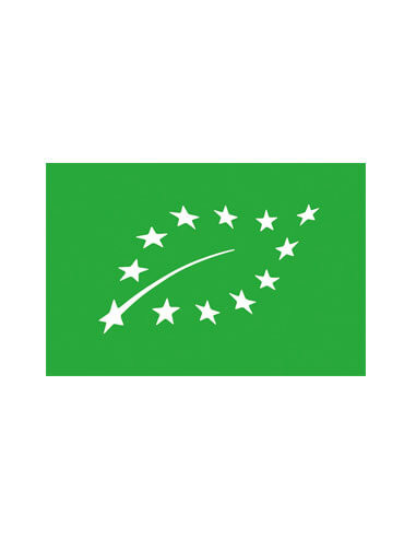 Huile Essentielle de Sapin Baumier - Abies balsamea