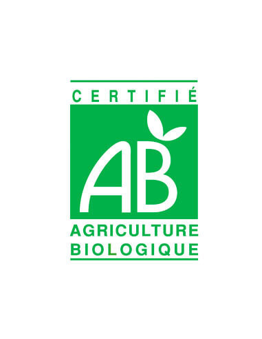 Huile Essentielle Khella (Cèdrelopsis) Biologique - Ammi Visnaga