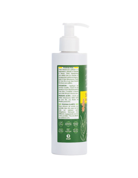 Shampooing concentré - Aloé Vera 70%
