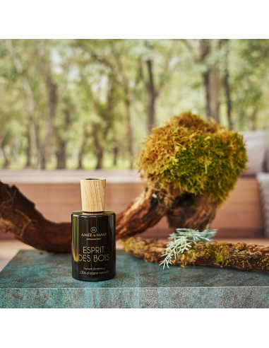 Esprit des Bois - Parfum d'ambiance Naturel en spray
