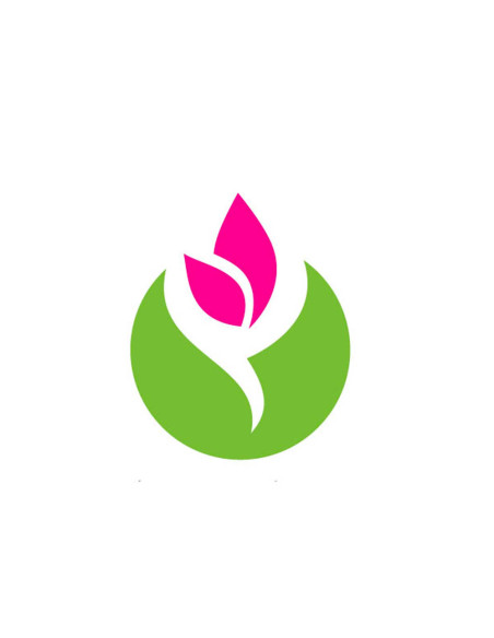 Organic Rosehip extract-co2 - Rosa canina - Huiles & Sens